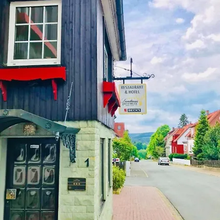 Brockenblick Hohegeiß