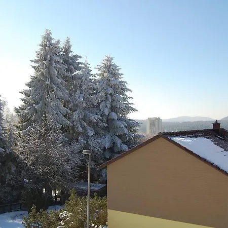 Brockenblick Hohegeiß