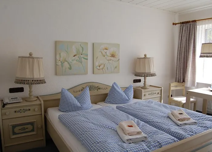 Brockenblick בית הארחה Hohegeiß