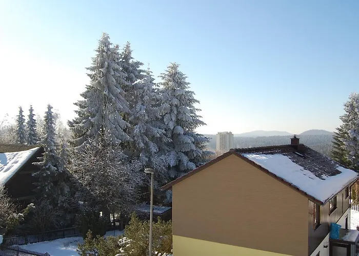 Brockenblick Hohegeiß